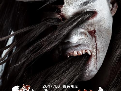 文莱签证真实样板